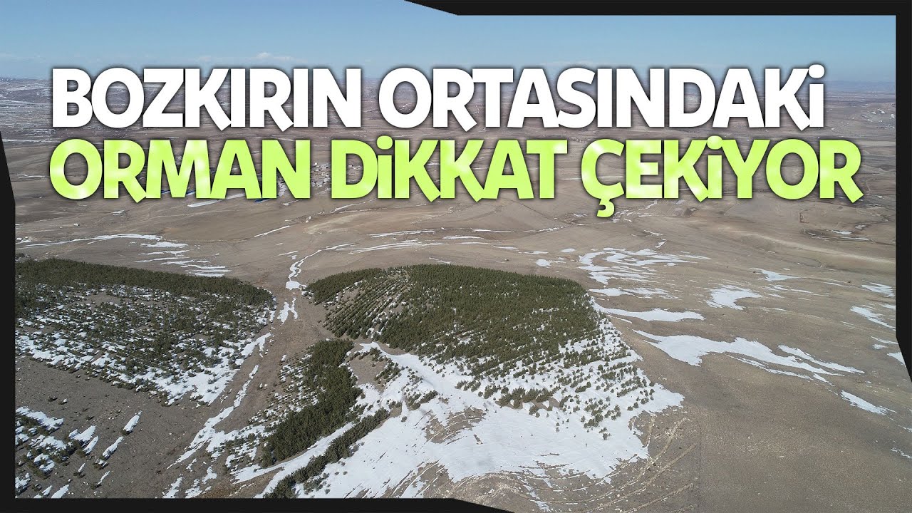 Erozyonu Önlemek İçin Yapılmıştı, Bugün Ortaya Bu Manzara Çıktı