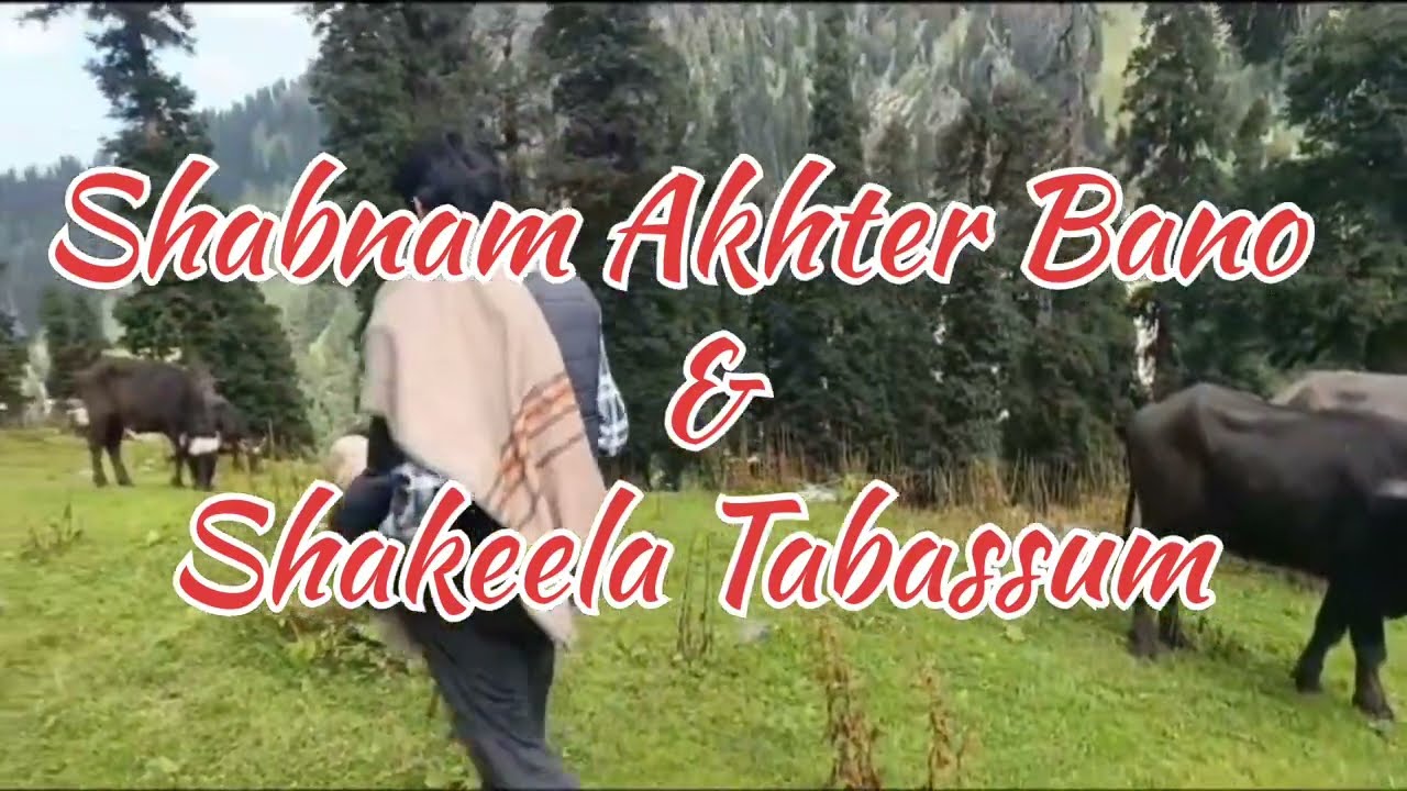 Shabnam Akhter Bano ||Shakeela Tabassum ||Gojri Lokgeet ||شبنم اختر بانو  و شکیلا تبسم || لوک گیت