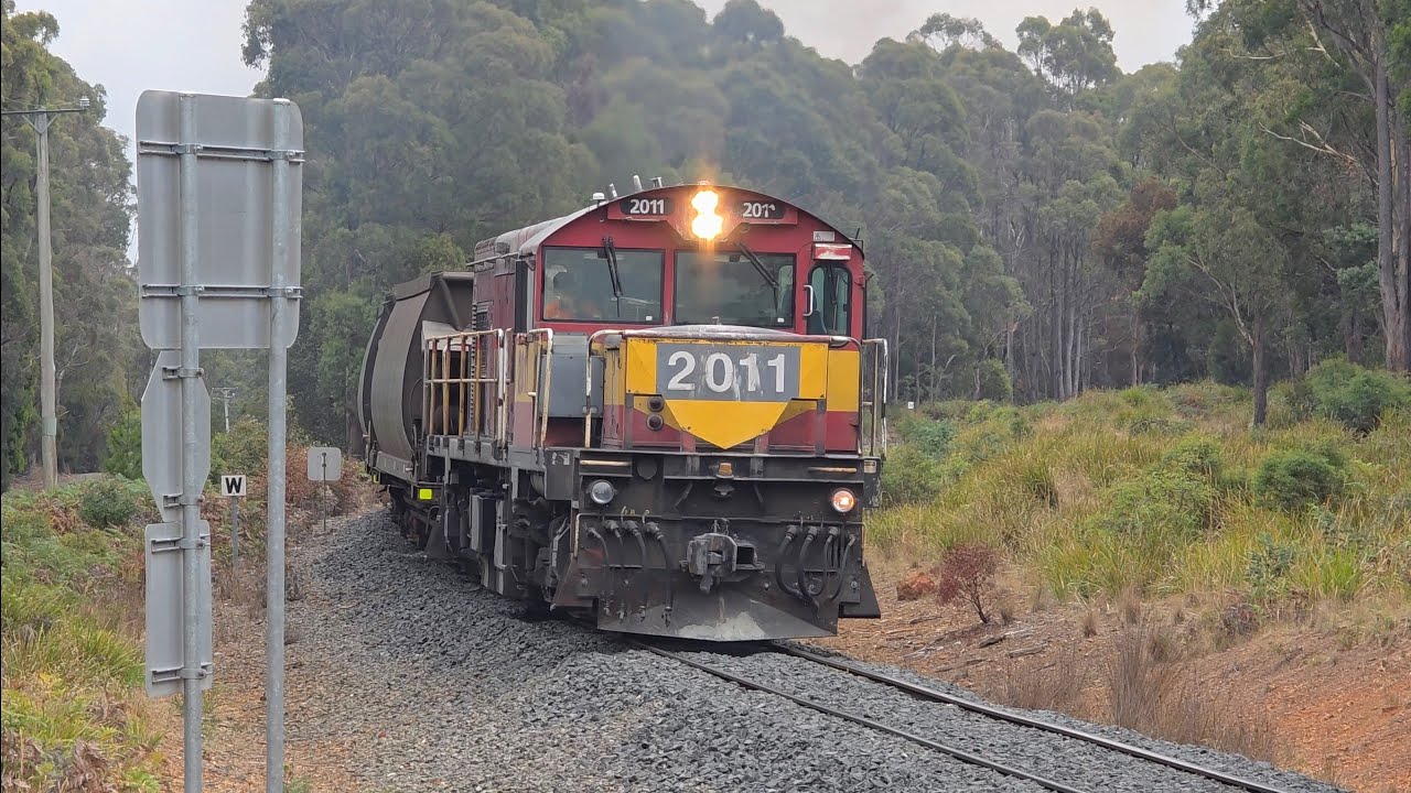 TasRail 2011 #55 train crossing Magazine Road