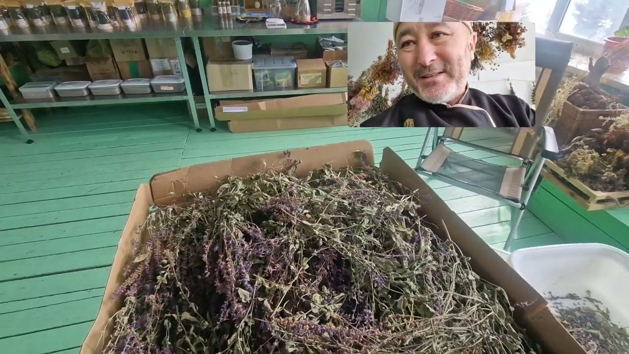 Восточный Казахстан #саяхат #fyp #video #reels #life