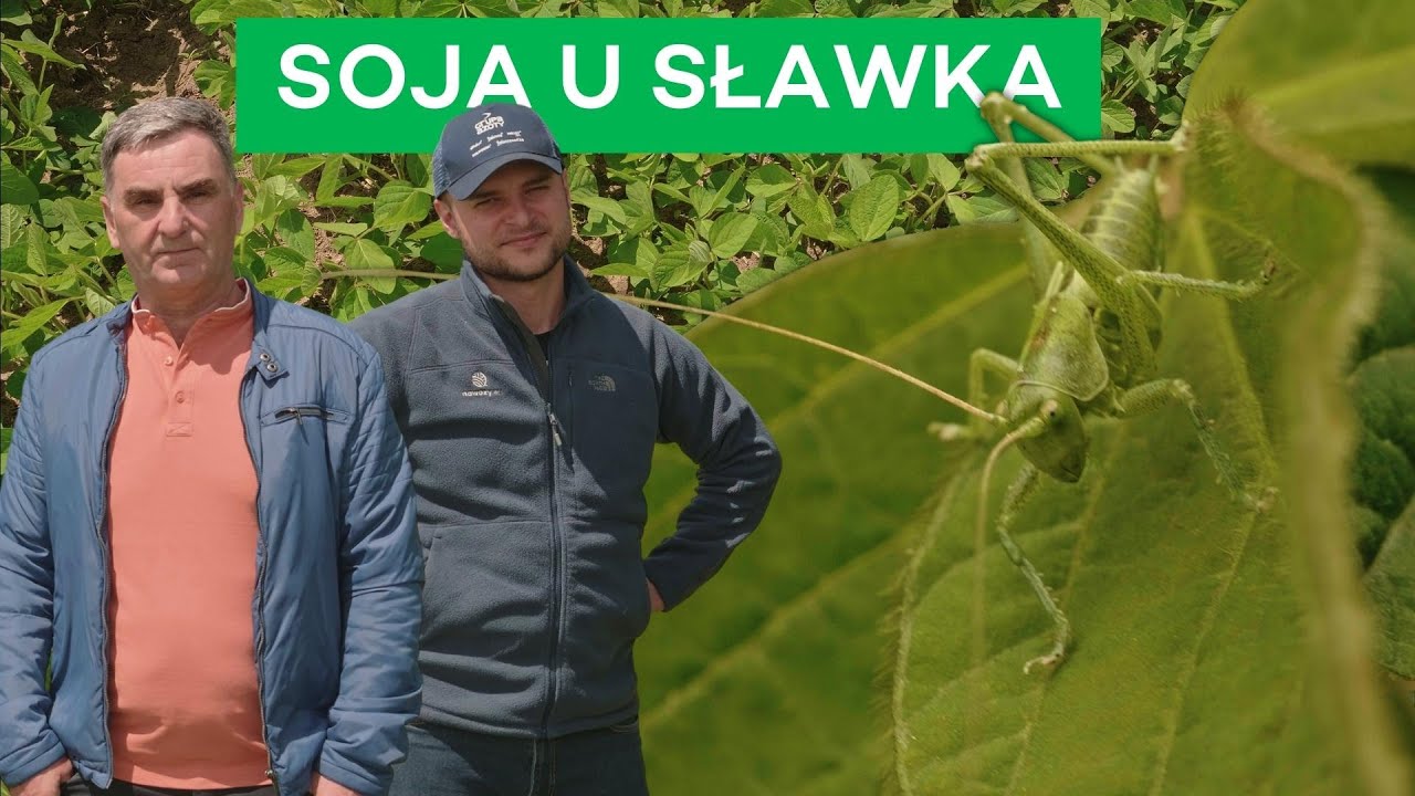 SOJA - CZY TO SIĘ JESZCZE OPŁACA? - #222 nawozy nonstop