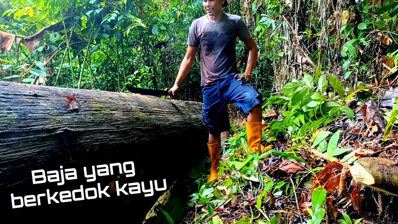LEBIH KUAT DARIPADA BESI || KAYU ULIN ASLI KALIMANTAN