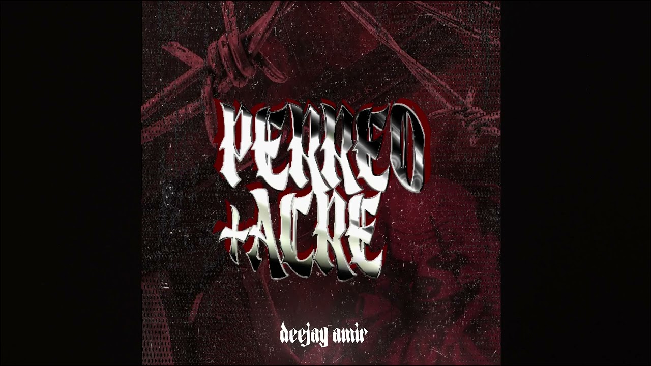 PERREO +ACRE😈  - DEEJAY AMIR