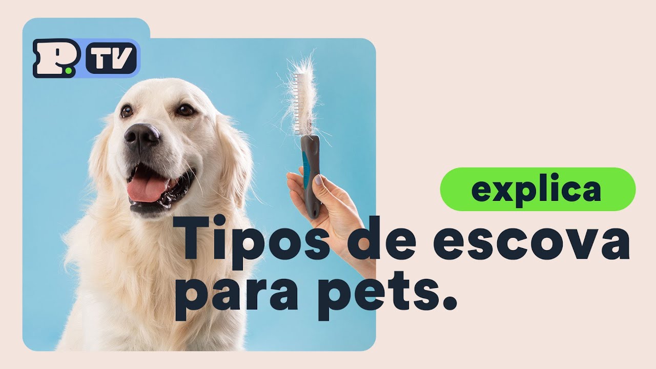Tipos de escova para pets
