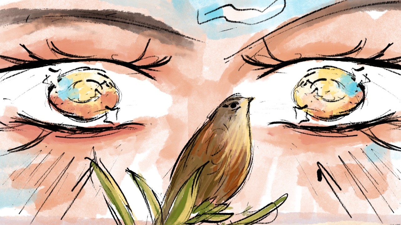 documenting a bird I found while hiking also yapping /art/illustration/hike/page1/