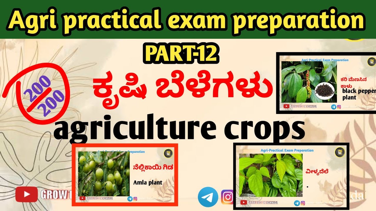 Part-12 agriculture plants | ಕೃಷಿ ಬೆಳೆಗಳು |agri practical exam preparation #agri  #practical_exam