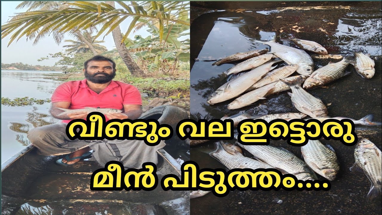 വീണ്ടും വല ഇട്ടൊരു മീൻ പിടുത്തം... ,@LD AND RD MEDIA