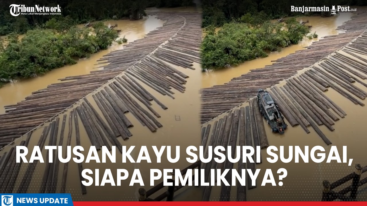 Viral! Ratusan Kayu Gelondongan Berjejer Rapi Susuri Sungai Kapuas, Siapa Pemiliknya?