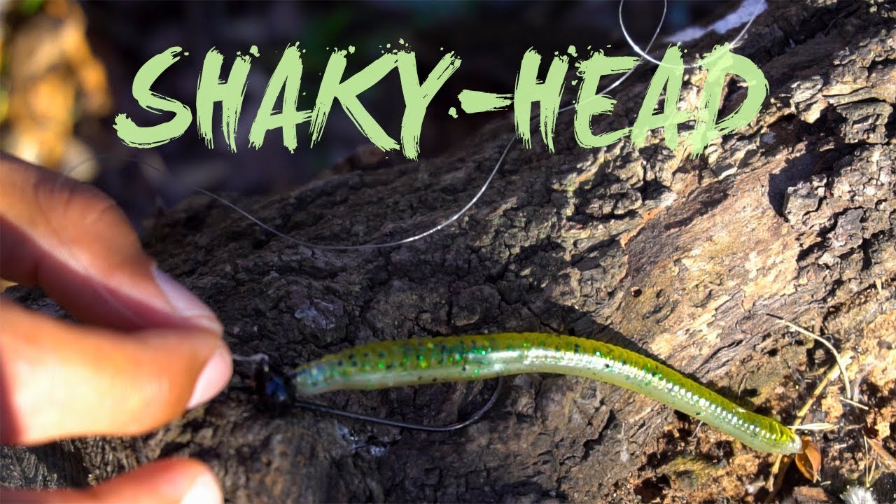 SHAKY-HEAD | Una ALTERNATIVA con muchas POSIBILIDADES