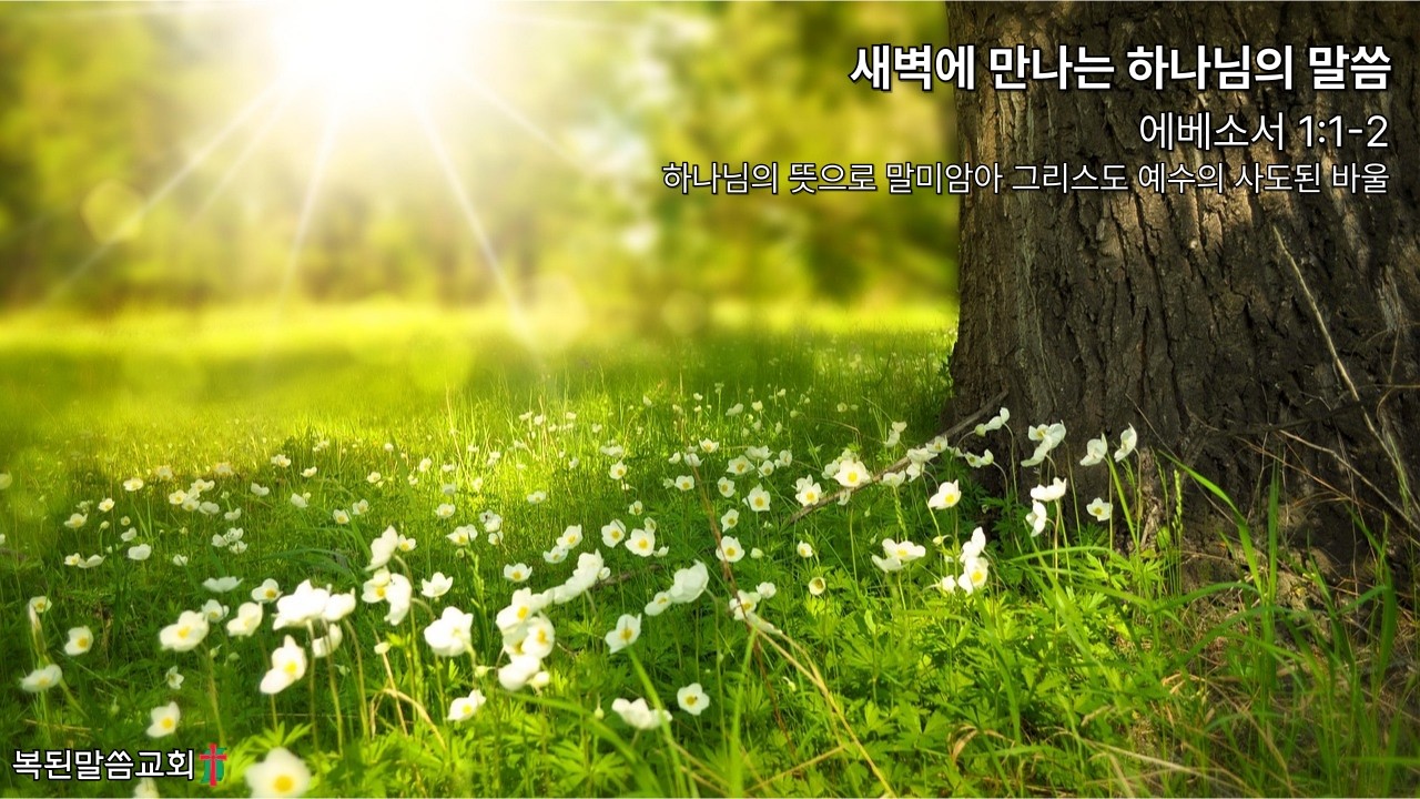 하나님의 뜻으로 말미암아 그리스도 예수의 사도된 바울 / 에베소서 1:1-2