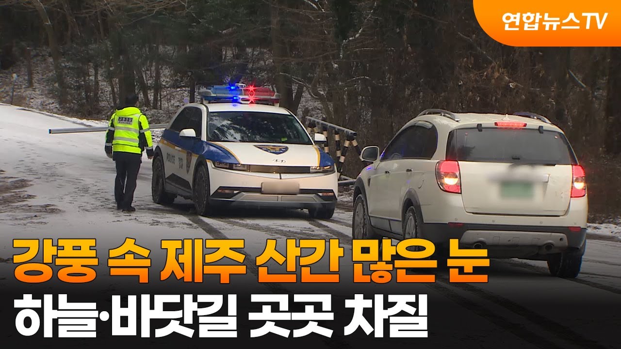 강풍 속 제주 산간 많은 눈…하늘·바닷길 곳곳 차질 / 연합뉴스TV (YonhapnewsTV)