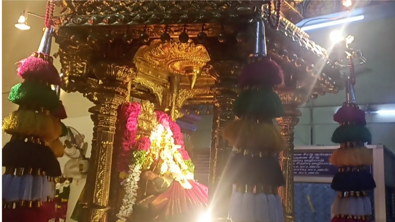 திருச்சி உறையூர் வெக்காளி அம்மன் கோவிலின் தங்கத் தேர் #temple #amman #trichy #bakthi #kadavul #2026 