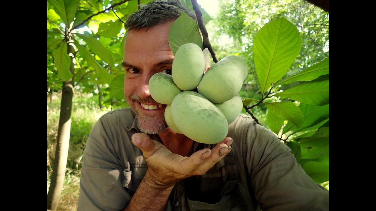 PawPaw's On The Riverbank