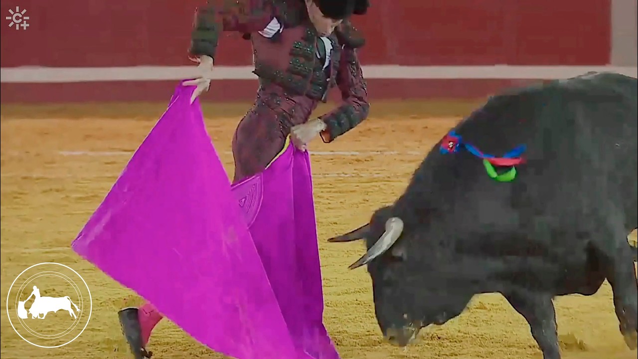 David de Miranda segundo toro Corrida extraordinaria de primavera Pozoblanco 28-03-2026 CanalSur M&aacute;s