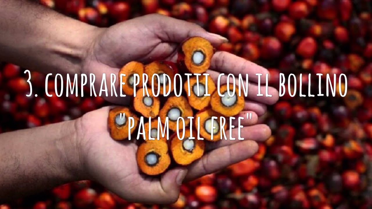Olio di Palma | Segui i nostri consigli