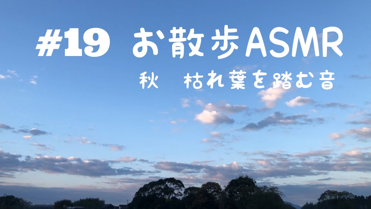 ASMR お散歩/ザクザク枯れ葉を踏む音[秋編]