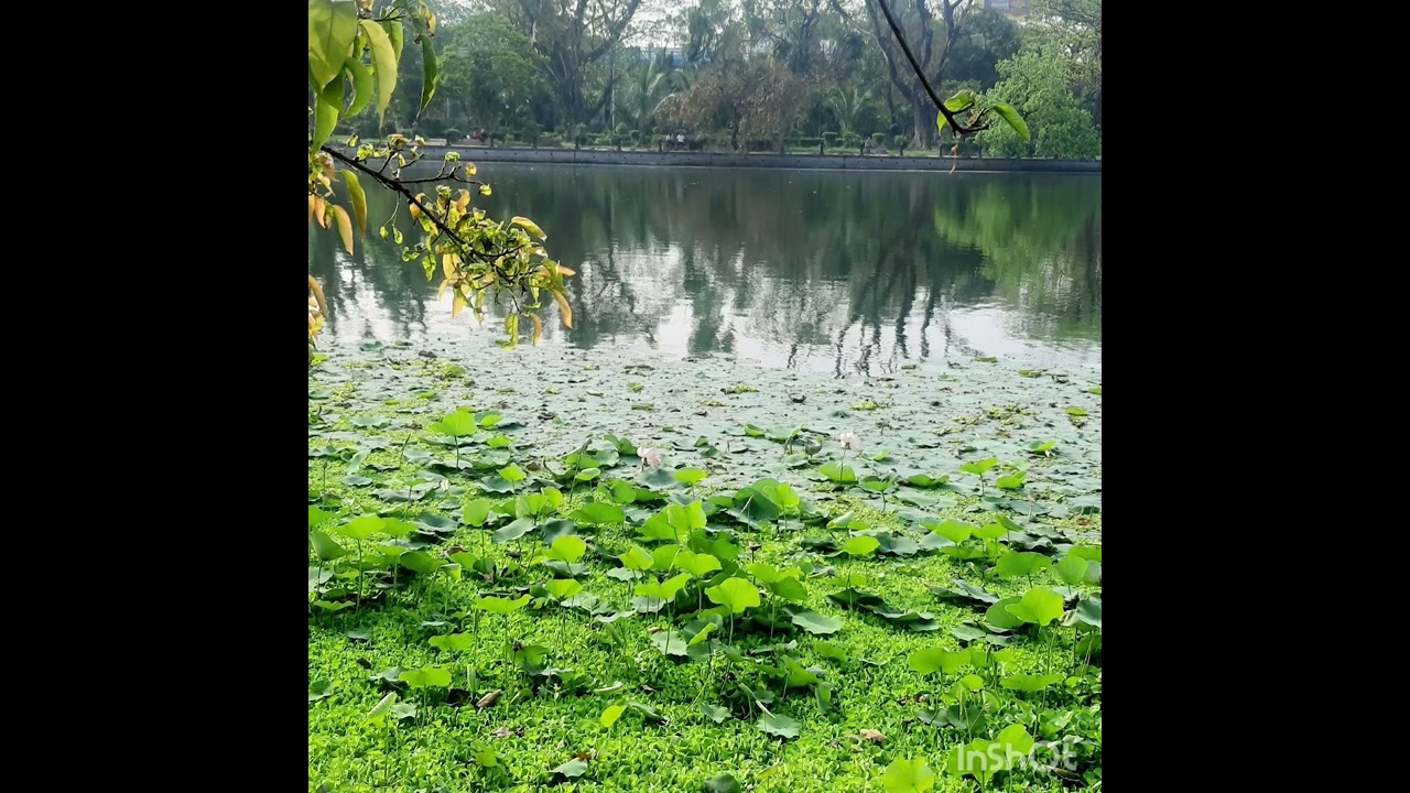 Tomai pacchi koi..... Antar&hearts;️&hearts;️&hearts;️
