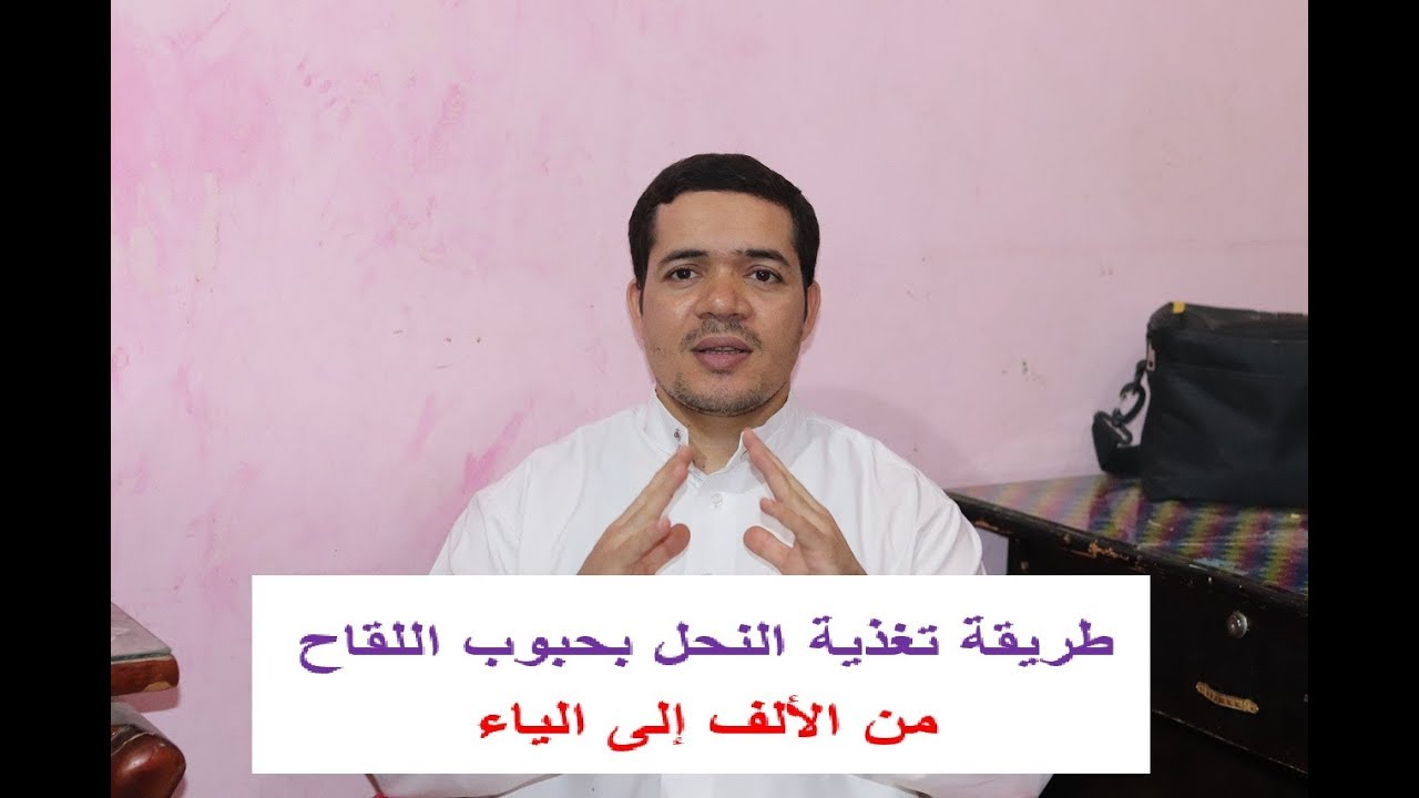 طريقة تغذية النحل بحبوب اللقاح الخطة الكاملة لمواجهة الانهيار الخريفي والشتوي