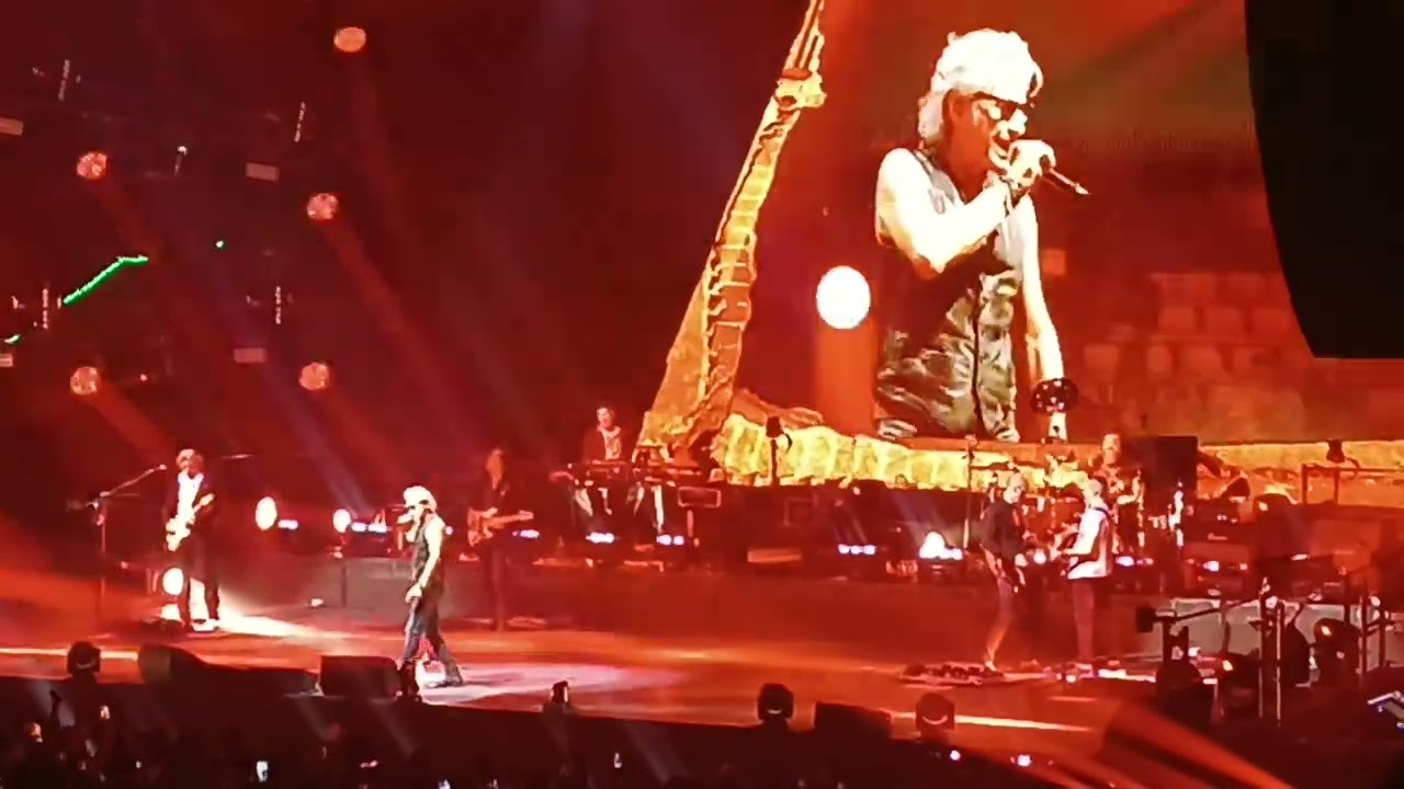 Questa è la mia vita, Ligabue