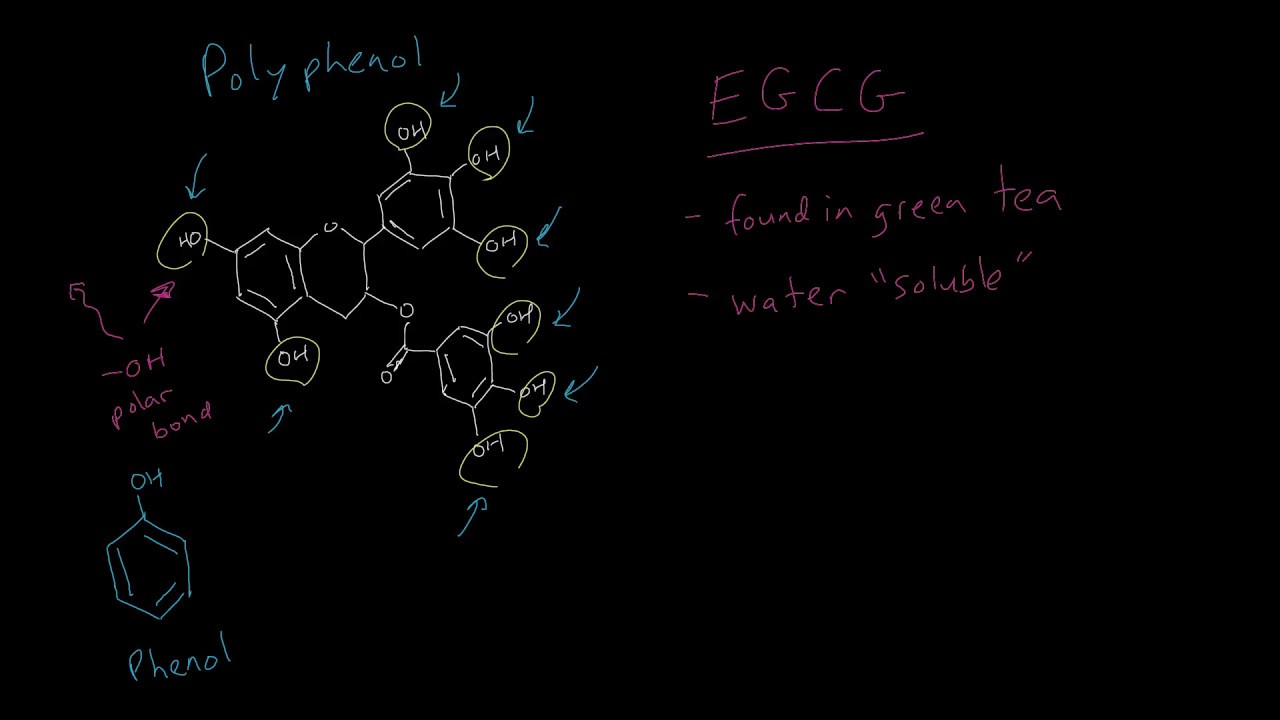 Green Tea - EGCG