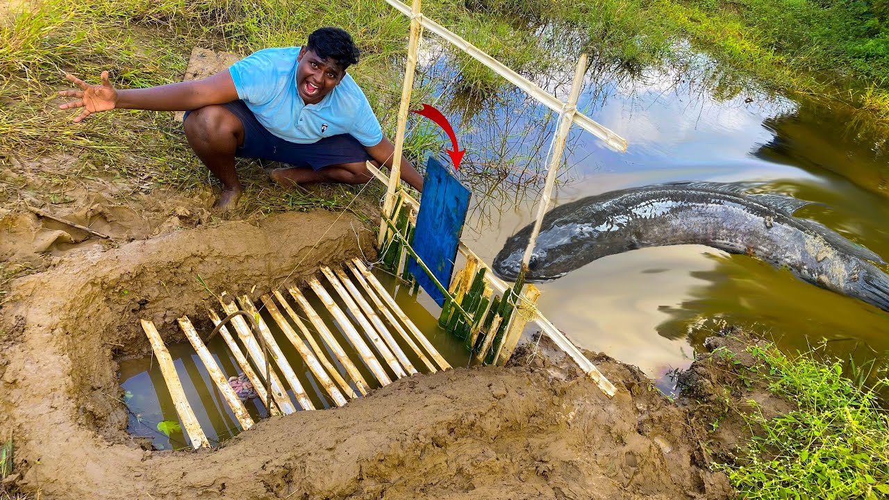Primitive Fish Trap|Bamboo Fish Trap Making|மூங்கில் குச்சு வச்சு விரால் மீன் பிடிக்கலாம்|VFS|SUPPU