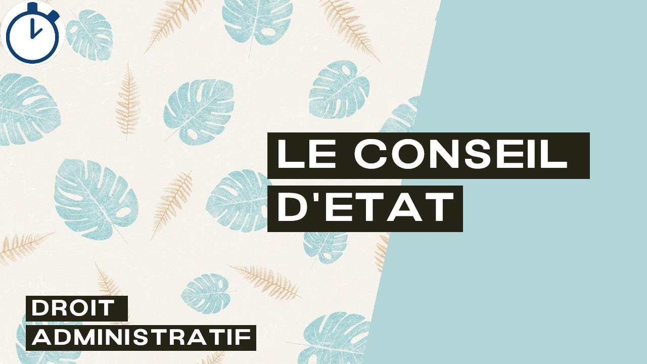 Le Conseil d'Etat : [Droit Administratif]