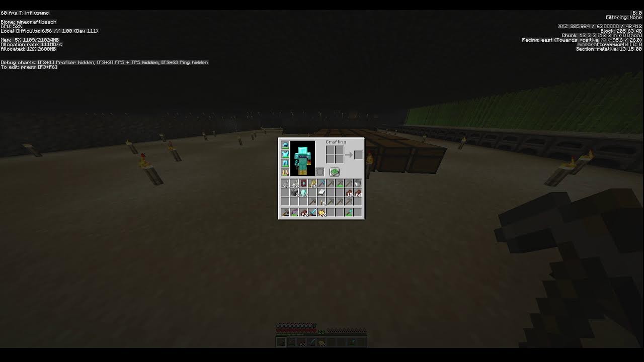 MINECRAFT HARDCORE