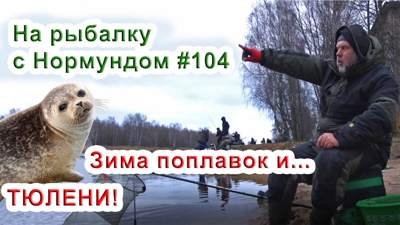 Зима, поплавок и.. ТЮЛЕНИ! / На рыбалку с Нормундом #104