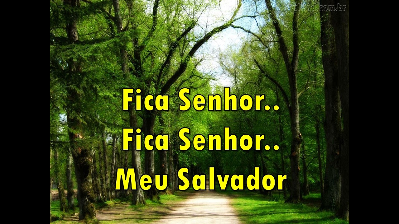 Divino Companheiro Cantado Com Letras ( Mara Lima )