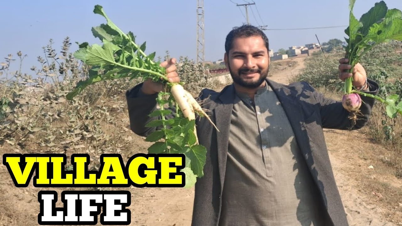 Beautiful village vlog || Gaon ki sair bht pursakoon Mahool
