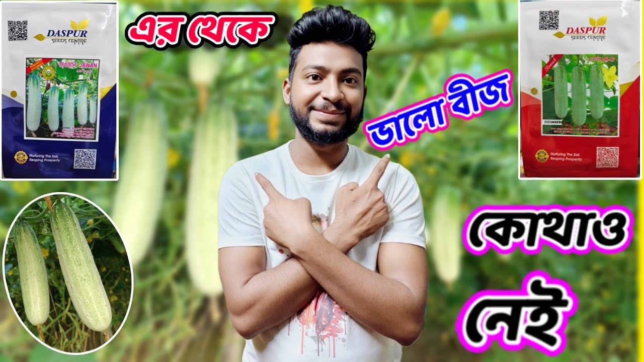 লেট গ্রীষ্মকালীন উচ্চ ফলনশীল দেশী সাদা শশার জাত।Gorom r sosa .Research best Cucumber of west bengal