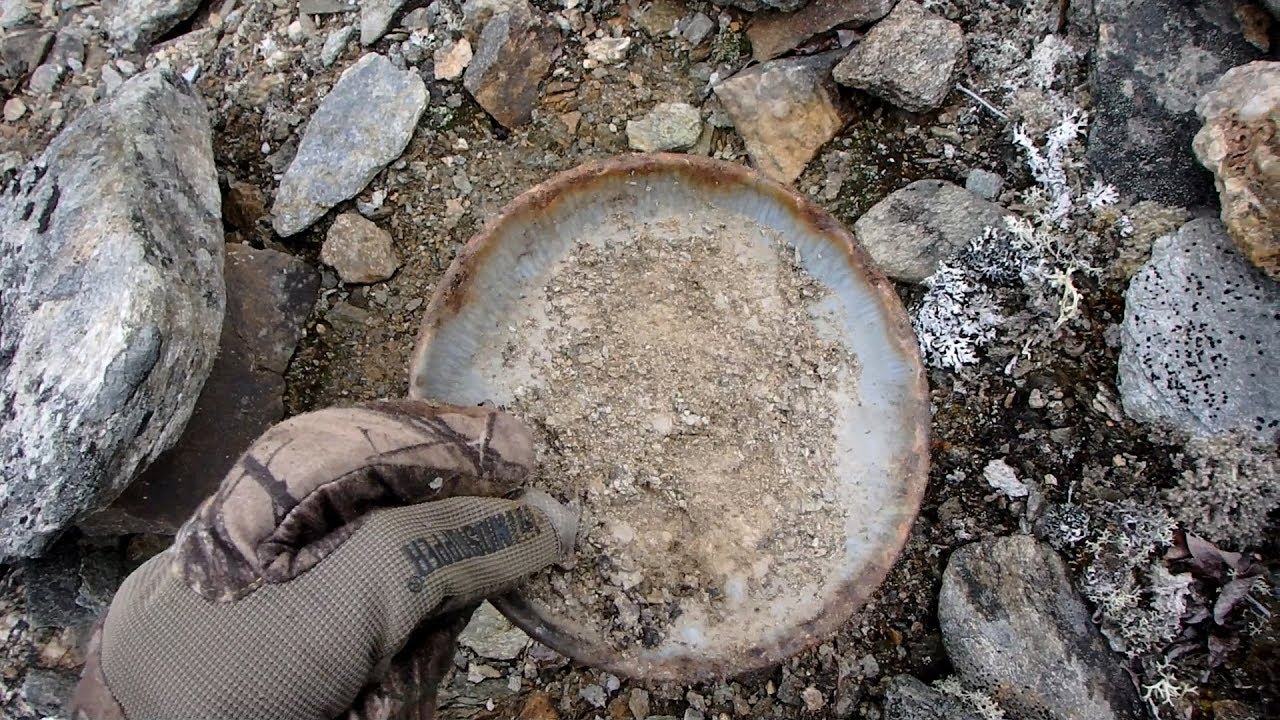 Exploring Alaska! - Found Hidden Geocache...What's Inside? | Nugget Noggin
