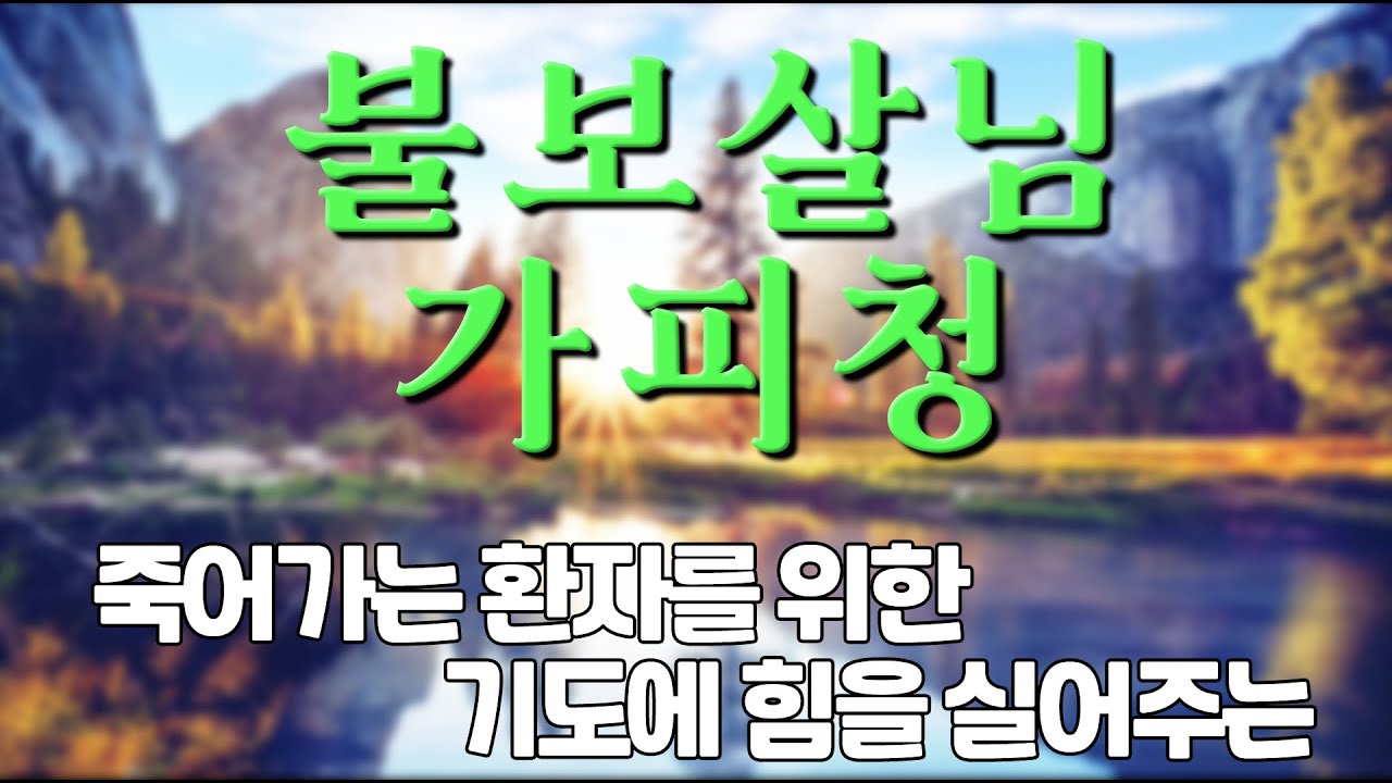 정토마을 [능행스님의 임상기도] 4.불보살님 가피청