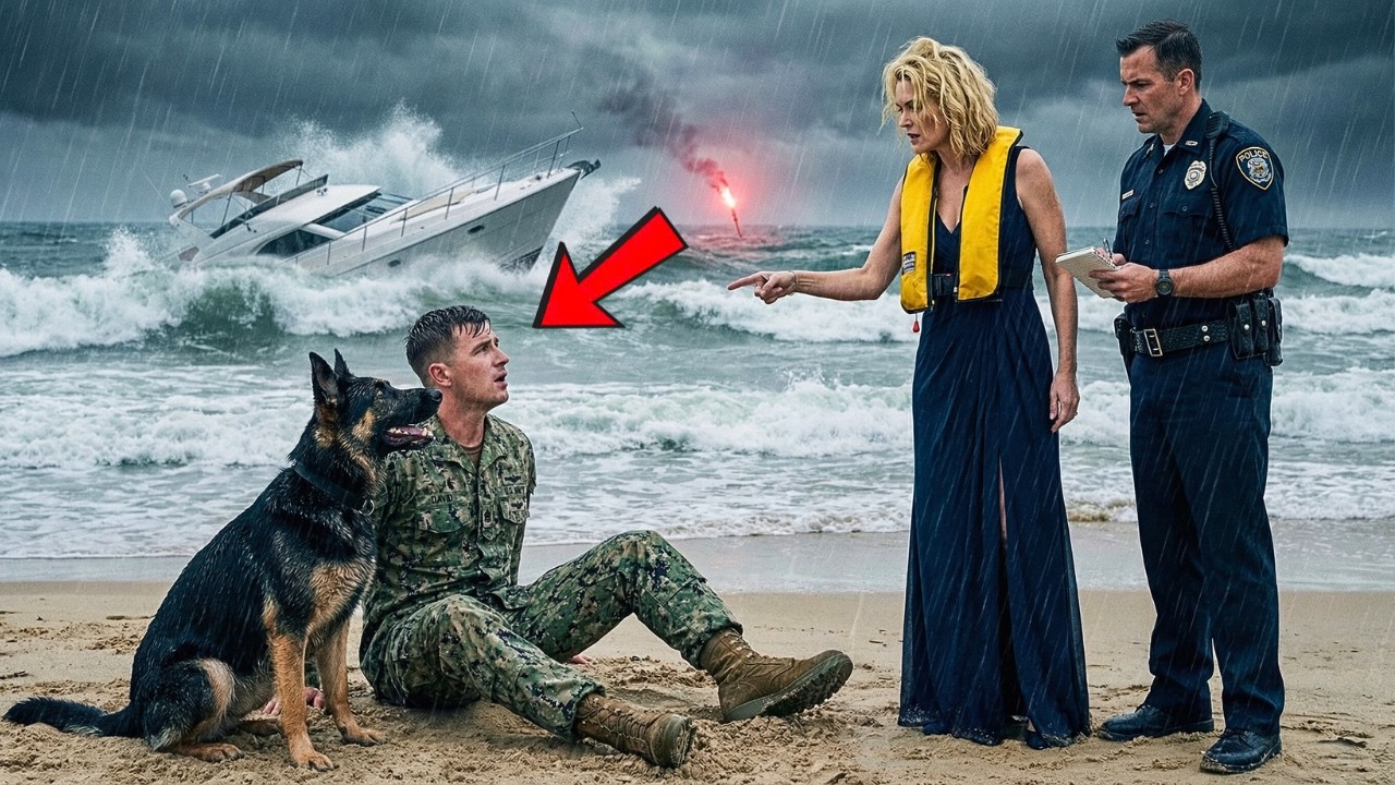 A Navy SEAL and His K9 Saved the CEO from Sinking – She Got Them Suspended for It