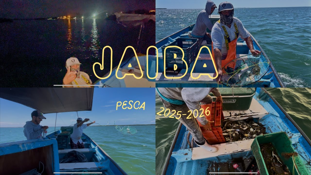 Asi Inició La Temporada De Jaiba 2025 - 2026 | EN LA BAHÍA DEL COLORAD‼️ COMO NOS FUE ⁉️
