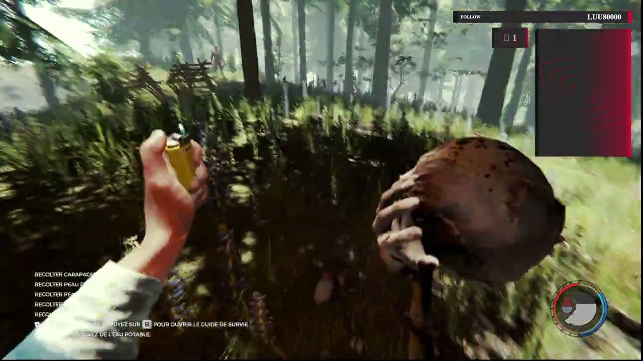 Redif du stream sur The forest
