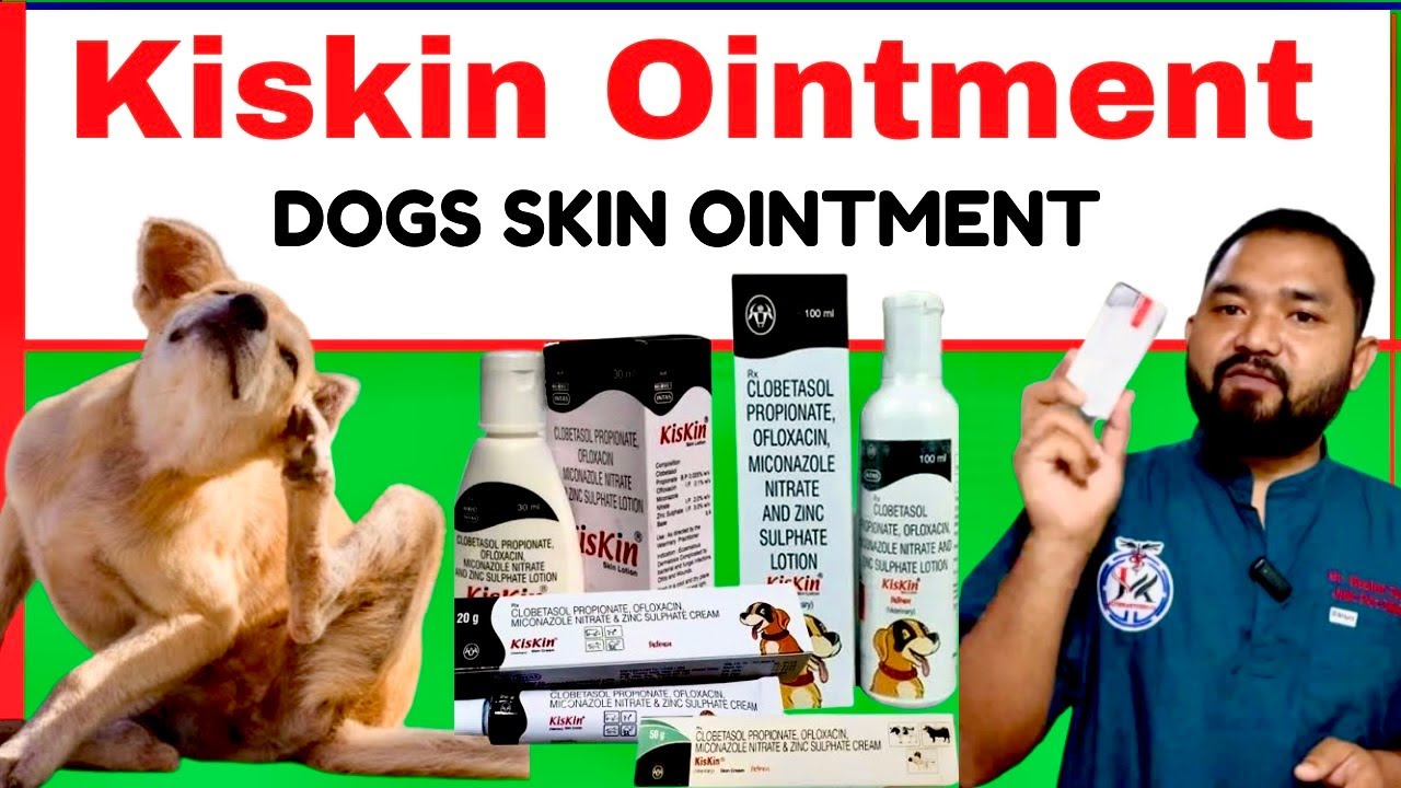 kiskin lotion for dogs || kiskin lotion for dogs how to use || how to apply kiskin lotion for dogs |