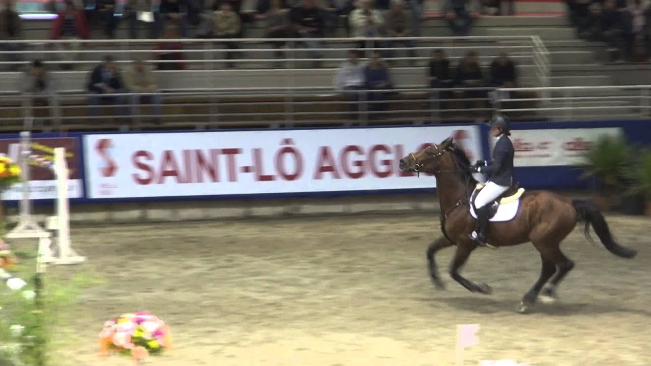 Bamako de Muze (webstallions.com)
