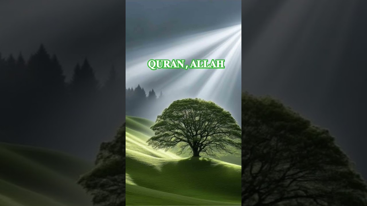 HUZUR FARMATE HAI/aminul qadri ki taqreer 