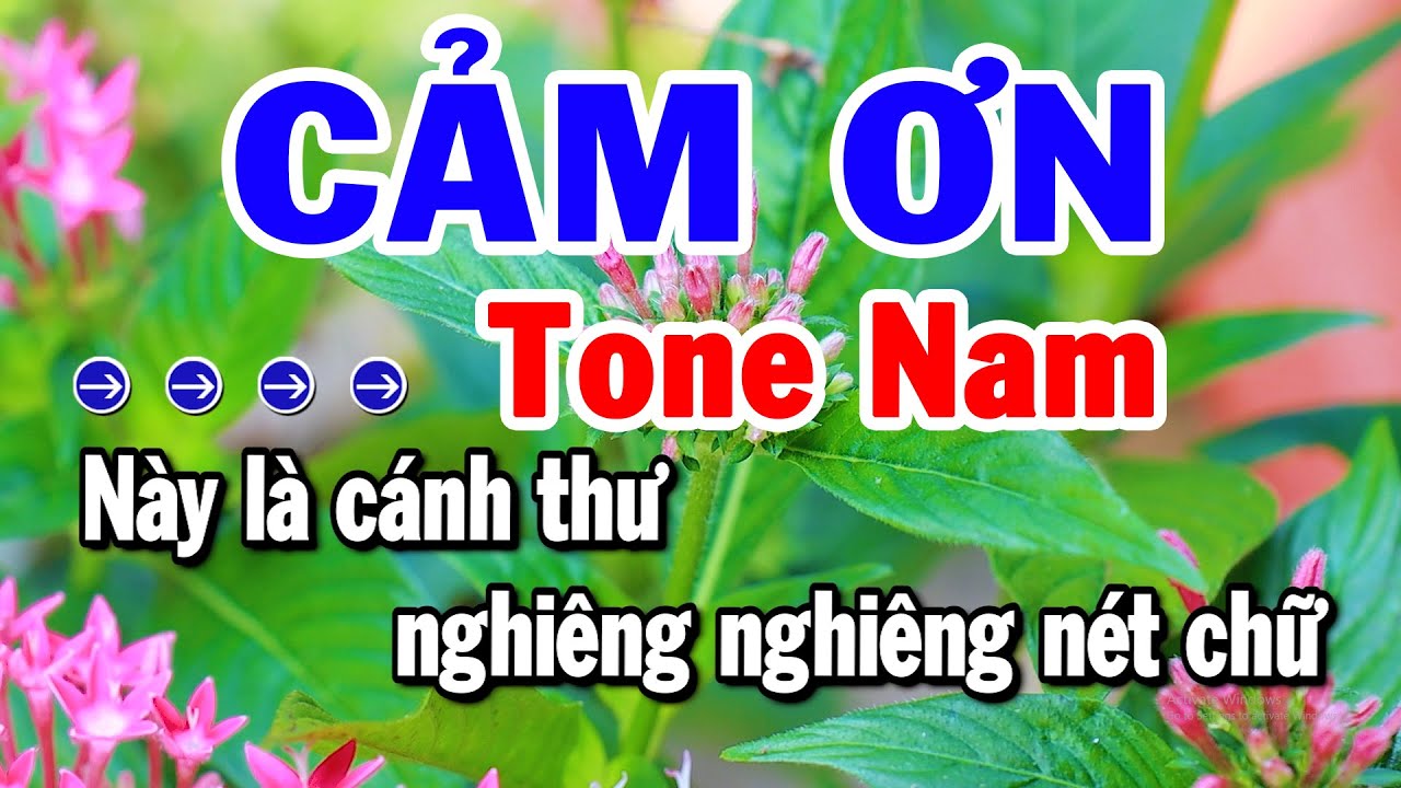 Karaoke Cảm Ơn Tone Nam Nhạc Sống Dễ Hát Beat Chuẩn Nhất | Karaoke Tuyển Chọn