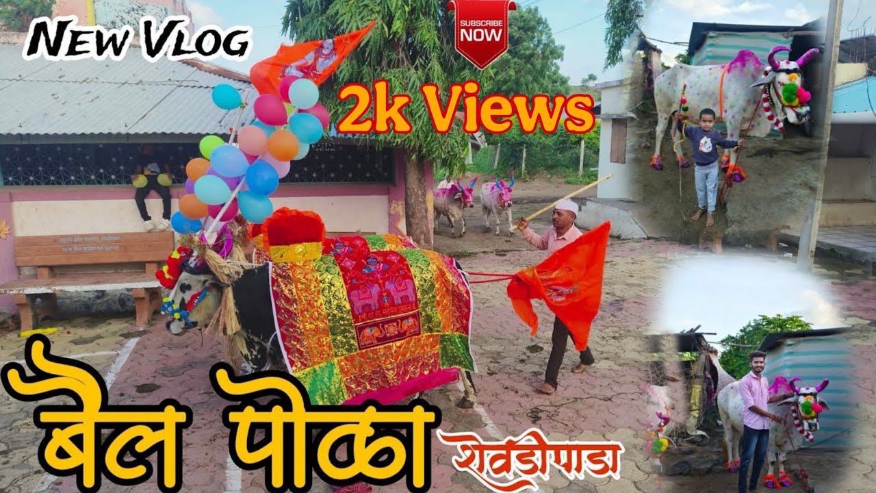 कसा केला बैल पोळा सण साजरा | Bail Pola | बैलांची सजावट | Bail Pola Festival