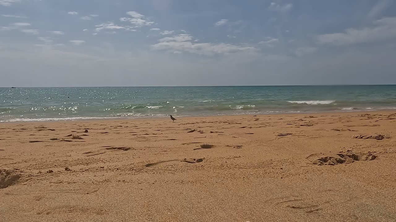 2026-02-17 Khao Lak beach and ocean. 