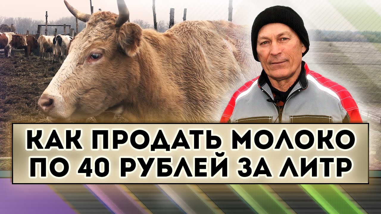 Как продать молоко по 40 рублей за литр