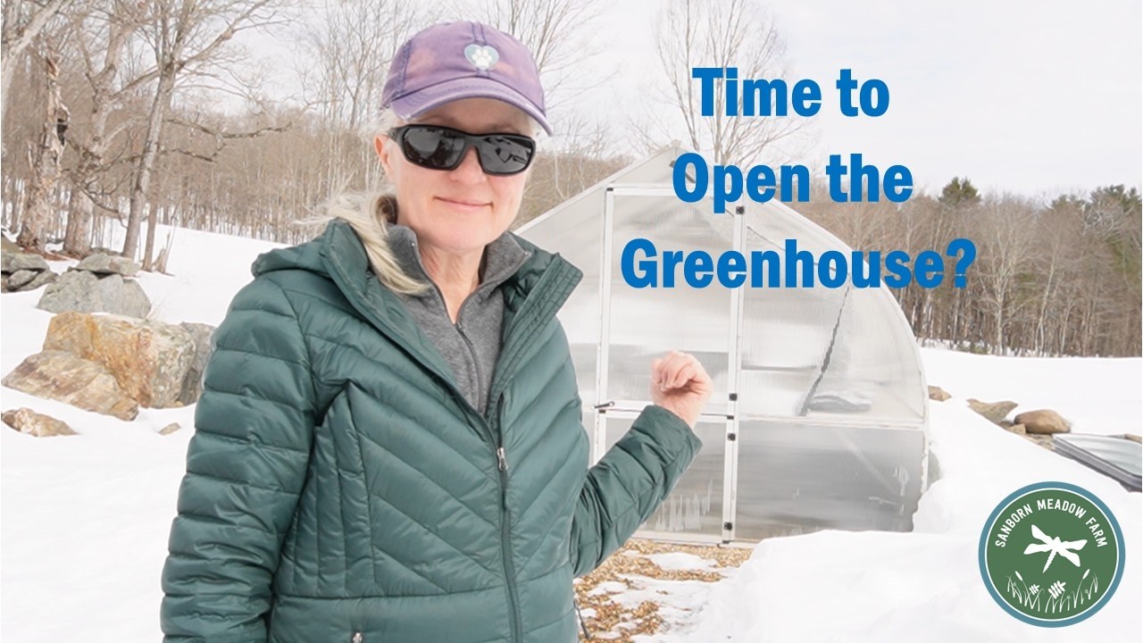 Opening the Greenhouse, Seed Starting and Stratification