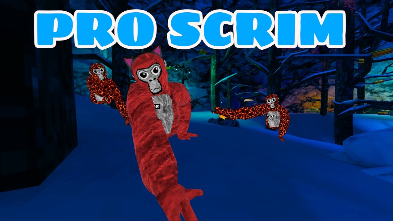 Running a 2v2 PRO scrim (they were cheating)