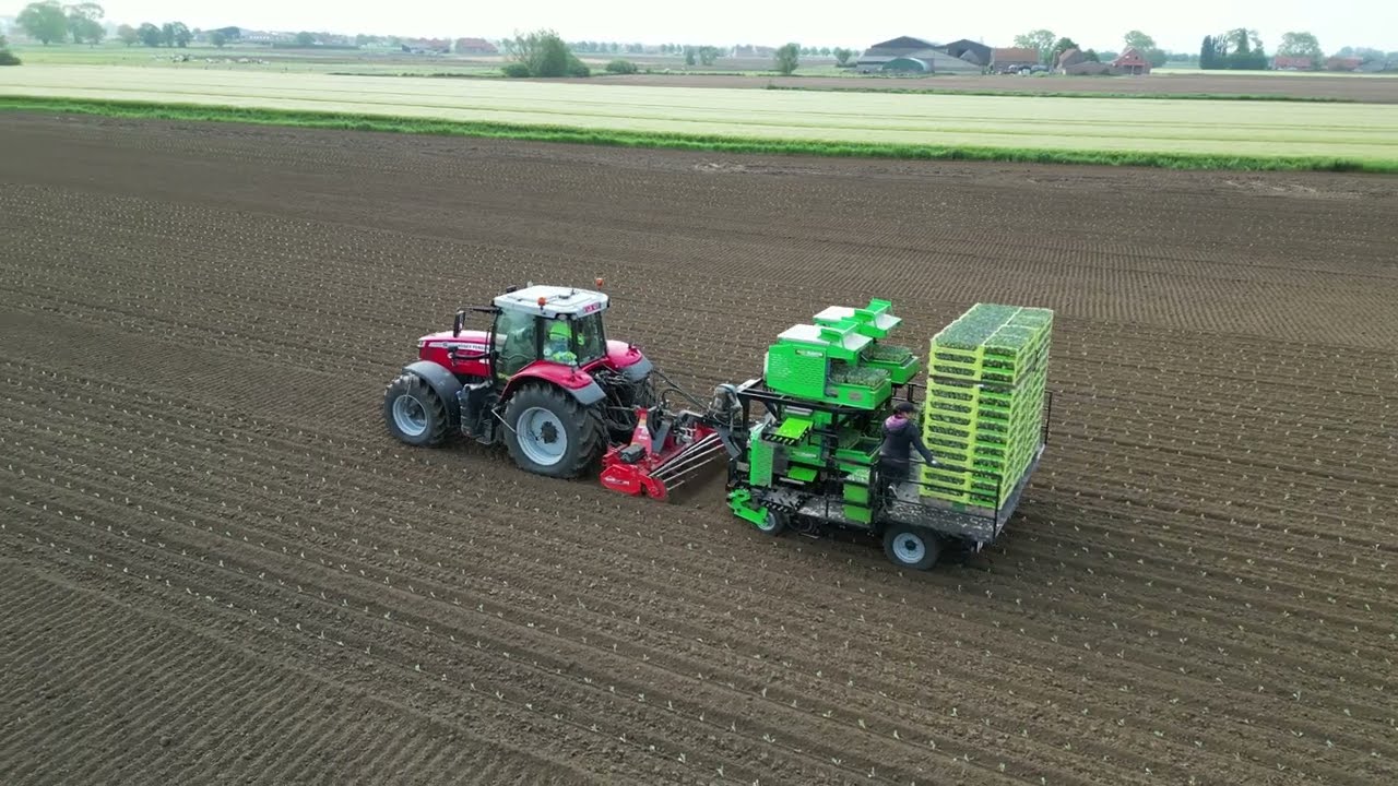 Spruitjes / spruitkool planten met Agriplanter / Kuhn / Carré / Trimble en 4x Massey Ferguson