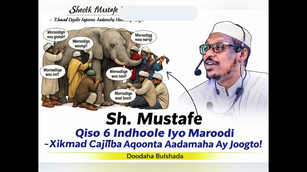 #qiso 