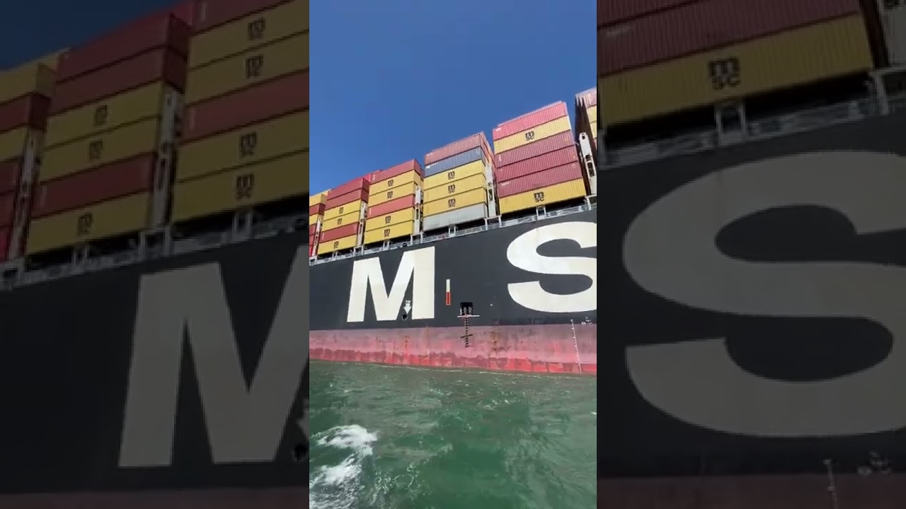 MSC Bettina