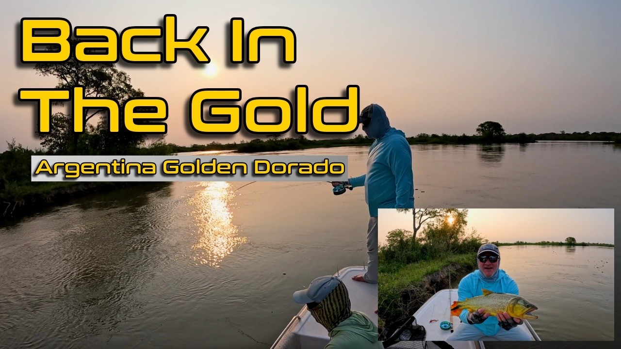 Back in the Gold: Argentina Dorado Part II