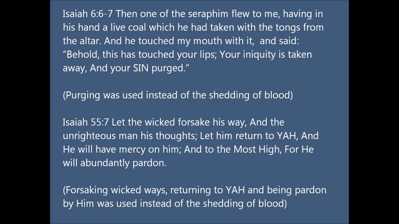 Is the shedding of blood the only way?